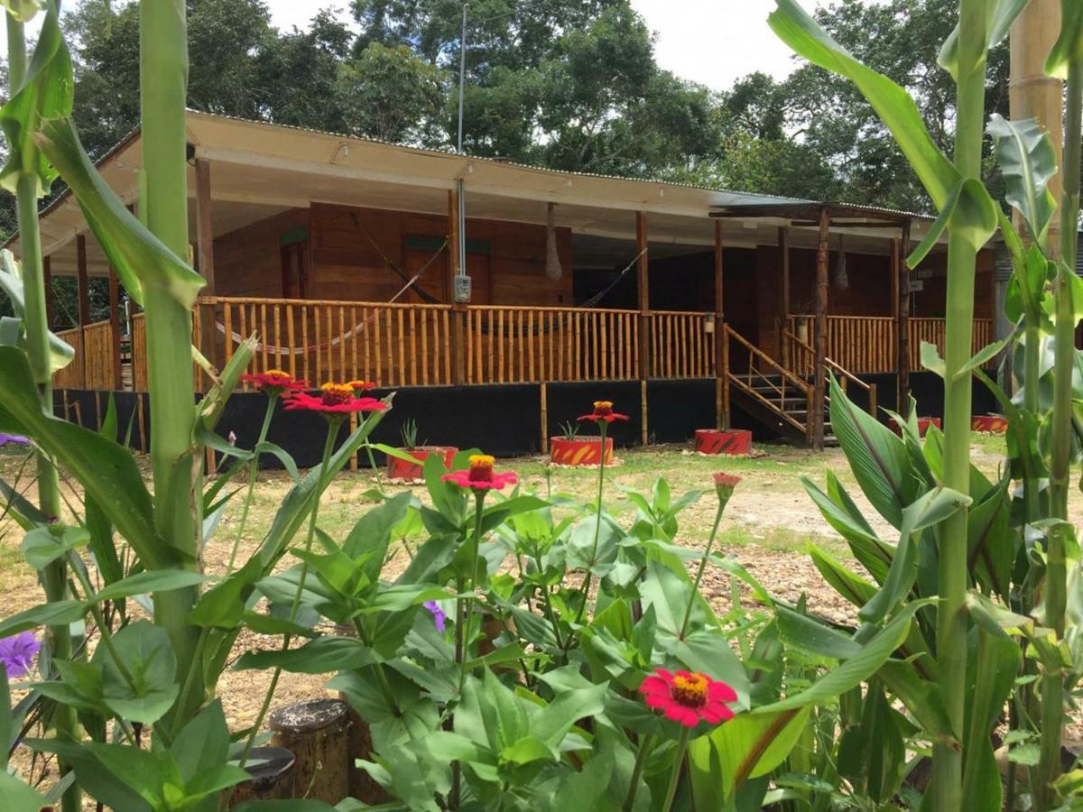 Hostal Cano Nevera La Macarena Екстер'єр фото